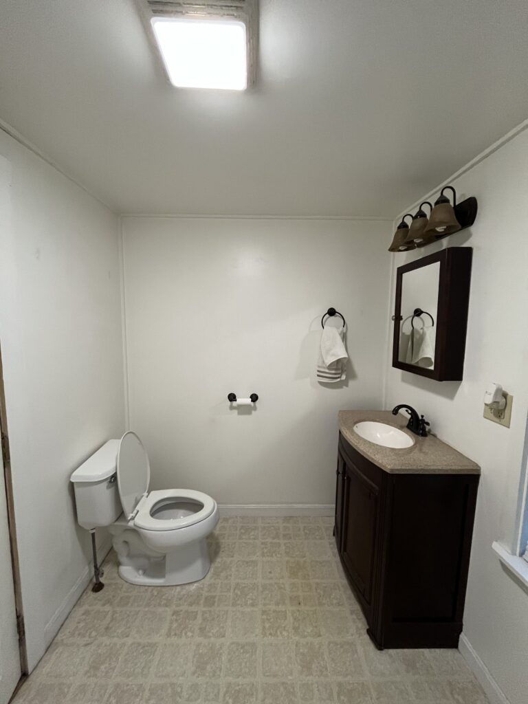 Before Cabin Bathroom Project
