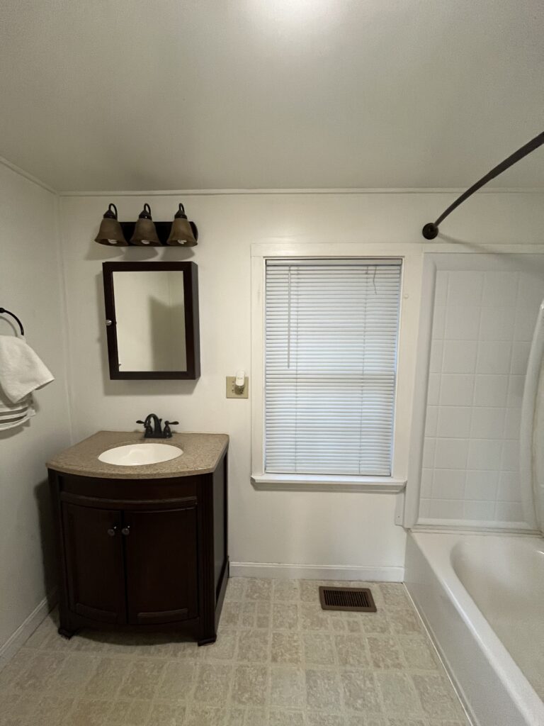 Before Cabin Bathroom Project